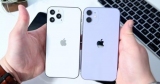 iPhone 12     ,  iPhone 11   