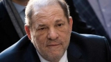  :    Weinstein  