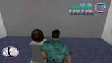   GTA Vice City  100 %